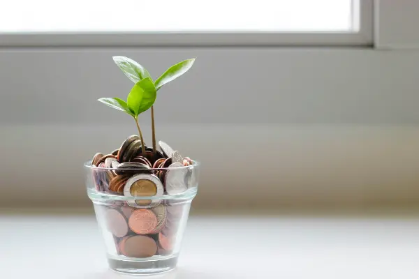 Banking & Finance